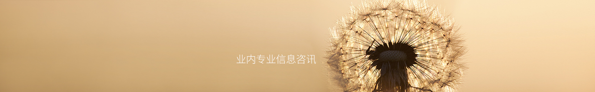 患者试药项目